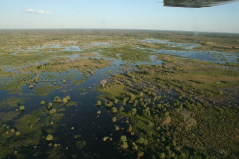 Okavango Delta Cesna
